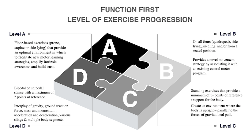 neurophysiologicalperspective